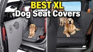 BEST XL Dog Seat Covers: Top 5 Picks & Buyer's Guide [2026 Review]