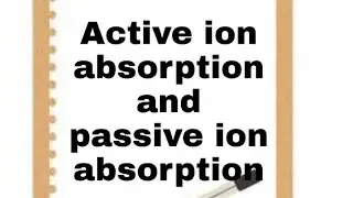 Active ion absorption vs passive ion absorption # Active ion absorption and passive ion absorption
