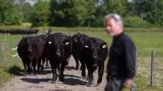 Murimoos - der nachhaltige Betrieb f&uuml;r Werken und Wohnen
