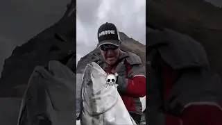 Molinete Thunnus 6500 #marinesports #fishing