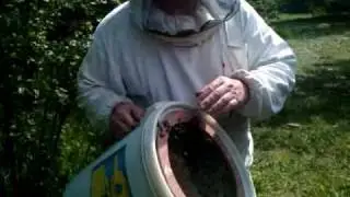 VIDEO0179.mp4