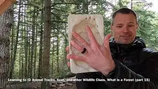 Learning to ID Animal Tracks or Scat and other Wildlife Clues - What is a Forest (part 15)