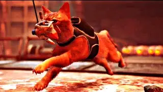 Stray Gameplay - Run & Chase Scene - The Sewers