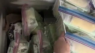 Watch Before Buying - Review of FRIGIDAIRE EFRF5003 Chest Deep Freezer-Garage-Ready, 5.0 Cu. Ft.