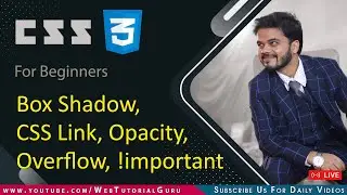 🔴 13. CSS Link, Box Shadow, Opacity, Overflow, !important | CSS Tutorial in Hindi #htmlcss #css