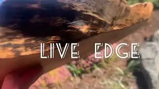 Large Live Edge cribbage board