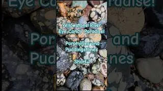 Yellowstone River Rock Collector's Eye Candy Paradise! Porphyry and Puddingstone Rock Garden 7