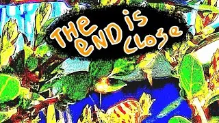 The end is close...