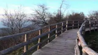 Stella Cilento