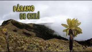 El Paramo CHILI Pijao UNA Fábrica de AGUA.