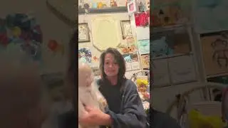Reborn Toddler Box Opening Pickles!!