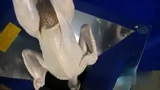 Model 32 Meat Grinder Chicken Bones