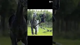 #DeTouteFa&ccedil;onLesCavaliers&Ccedil;aVeulentPas #Cheval #&Eacute;quitation #Trend #Trending#Fail #Chute #Saut #🐴￼￼￼