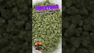 Cherry Punch | THCa Hybrid | Bulk Wholesale Hemp Flower