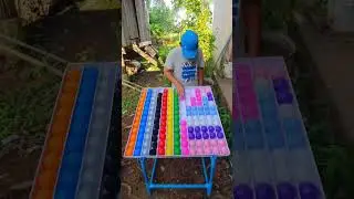 Sort and Solve Color Ball Logic Game to Train Your Brain