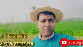 @ ধানের জমির প্রকৃতি সবুজে ভরা# mini vlog # The paddy fields and nature are full of greenery vlog # 