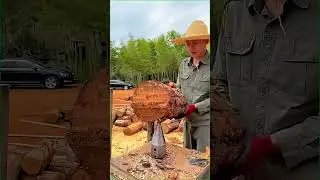 World Modern Wood Cutting. #europeanengineering #exploringinnovation #automobile