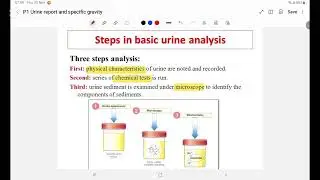 RAU Biochemistry P1 Urine report and specific gravity 