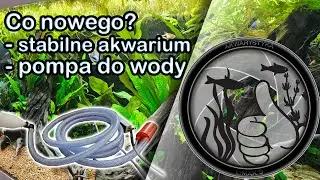 Stabilizacja w akwarium I Podmiana wody - pompka do czystej wody 12v
