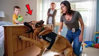 K9 Dog Uncovers Hidden Camera&mdash;Reveals Shocking Child Abuse and Trafficking Ring