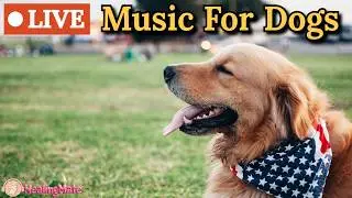 🔴24/7 Dog TV🎵🐶Calming Music for Dog Sleep🐶💖Separation Anxiety Relief🦮Relaxing Music for Dogs🔴13