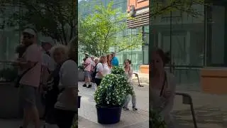 Bushman prank.Scary Bush.