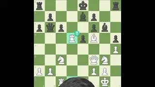 Bobby Fischer's Magic ✨️♟️#bobbyfischer #chessmoves #best #chessedit #usa #brilliant #addison