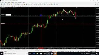 Catching the low and high of the day with price action,no indicators no softwares.