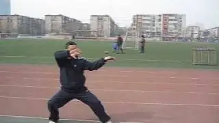 Li style Taiji Quan - Master Zhou jingxuan