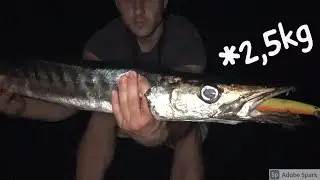 BARRACUDA di notte a Spinning *2,5kg