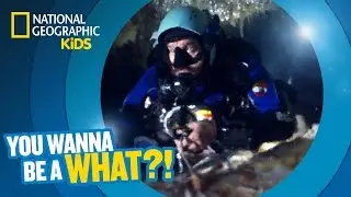Innerspace Invader | Кем ты хочешь стать?!