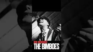 &ldquo;STAY ALIVE&rdquo; The Bimboes MUSICVIDEO Trailer