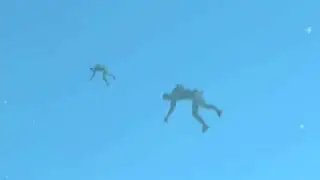 Assassin's Creed IV Black Flag:Flying Pirates Bug