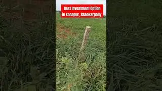 Best investment option    Ready to Registration #realestate #plots #plot #openplots #investment