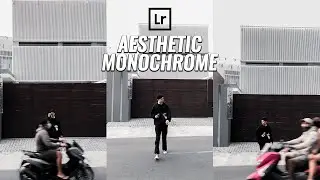 Aesthetic Monochrome Preset DNG | Tutorial Lightroom Mobile | Edit Subscriber Photos