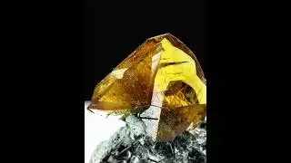 Titanite with Actinolite and Byssolite from Pakistan | Fine Art Minerals | Titanite |