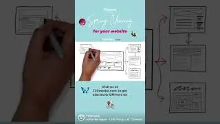 Website Design Rebranding Colorado Springs WordPress Experts, 720media Woman Owned Business #shorts