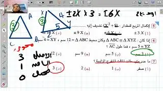 3حل نموذج 4 للصف الثاني الاعدادي 2026 المعاصر الترم الاول