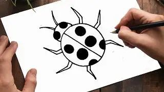 Learn How To Draw Ladybug | Easy Ladybug Drawing Tutorial For Kids