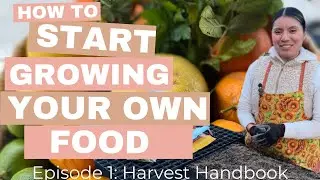 Episode 1. How Start to Growing your Own Food