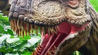 Albertosaurus Roar 🦎 🔊