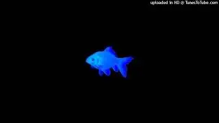 [FREE] Clams Casino x 6 Dogs Type Beat 