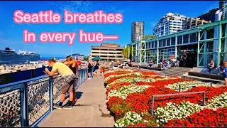 Seattle Flower Market | Colorful Blooms at Pike Place 🌸✨ #short #shortsfeed #travel #nature