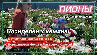 Посиделки у камина. Часть 23. Предновогодний выпуск! / Сад Ворошиловой