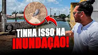 ALAGAMENTO HIST&Oacute;RICO EM NATAL