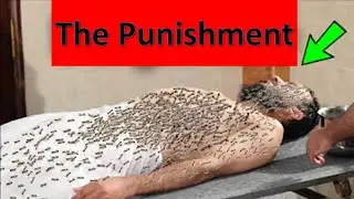 True Story | Ants coming out from the dead body | Mohammad AlNaqwi