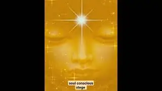 soul conscious stage