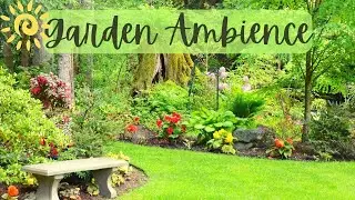 Garden Ambience [Perfect Tranquil Garden Atmosphere] | 1 Hour ☀️