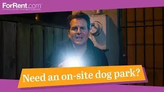 Find a pet-friendly apartment on ForRent.com