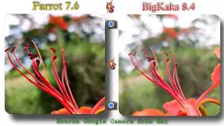 Gcam 8.4 V⁷ vs Parrot 7.6 || Koncha Google Camera Acha Hai 🔥